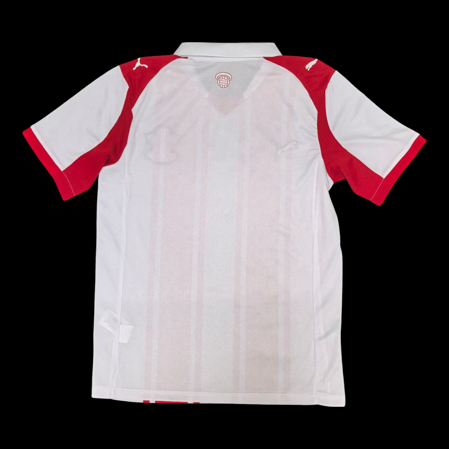 Vue arrière Southampton Maillot Domicile 2526